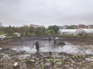 康平河道鱼塘清淤